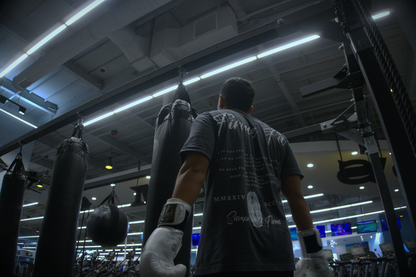 La Virgen De Guadalupe- Premium Tee